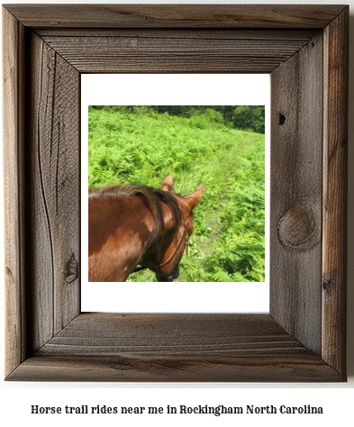 horse trail rides near me in Rockingham, North Carolina